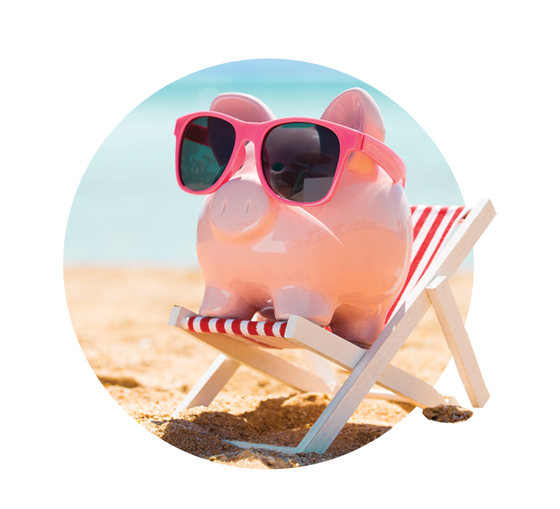 beach pig